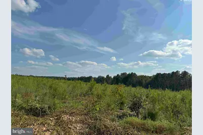 Dogwood Drive (Tract: Jr Bedford-Bowles_Sim-3), Columbia, VA 23038 - Photo 10