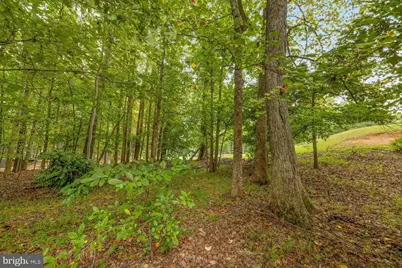 198 Jefferson Dr, Palmyra, VA 22963 - Photo 46