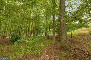 198 Jefferson Dr, Palmyra, VA 22963 - Photo 46