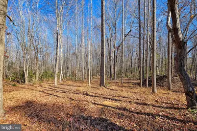 589 Three Chopt Road, Kents Store, VA 23084 - Photo 6