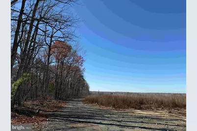 Winnsville Drive (Tract: Tanager Et2 2021), Bremo Bluff, VA 23022 - Photo 6