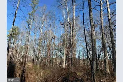 Winnsville Drive (Tract: Tanager Et2 2021), Bremo Bluff, VA 23022 - Photo 10