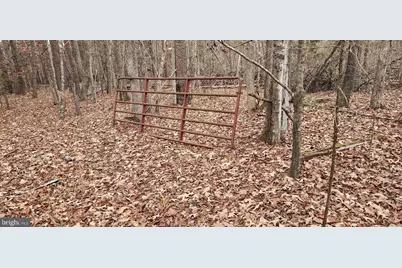 1064 Hunters Lodge Road, Troy, VA 22974 - Photo 20