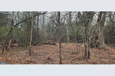 1064 Hunters Lodge Road, Troy, VA 22974 - Photo 18