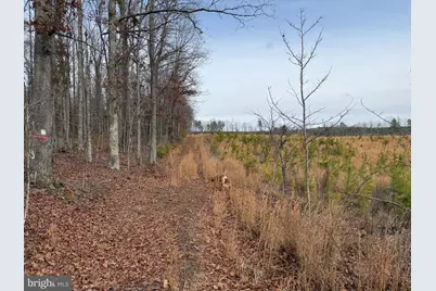 1 Community House Rd, Kents Store, VA 23084 - Photo 42