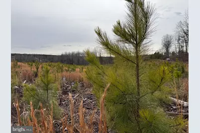 1 Community House Rd, Kents Store, VA 23084 - Photo 34