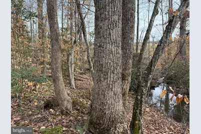 1 Community House Rd, Kents Store, VA 23084 - Photo 18