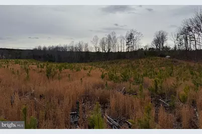 1 Community House Rd, Kents Store, VA 23084 - Photo 36