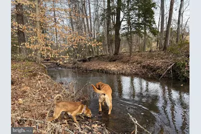 1 Community House Rd, Kents Store, VA 23084 - Photo 16