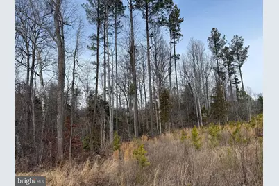 1 Community House Rd, Kents Store, VA 23084 - Photo 24