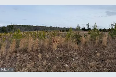 1 Community House Rd, Kents Store, VA 23084 - Photo 8