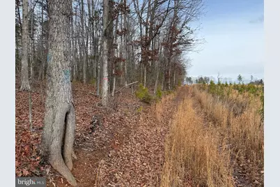 1 Community House Rd, Kents Store, VA 23084 - Photo 40