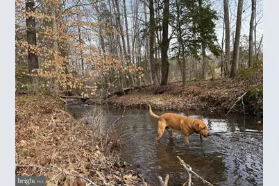 1 Community House Rd, Kents Store, VA 23084 - Photo 14