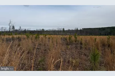 1 Community House Rd, Kents Store, VA 23084 - Photo 38