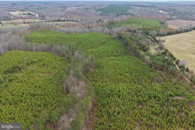 West River Road (Tract: Jr C.B. Moon-2), Scottsville, VA 24590 - Photo 4