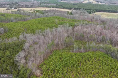 West River Road (Tract: Jr C.B. Moon-2), Scottsville, VA 24590 - Photo 6