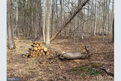 575 Perkins Road, Kents Store, VA 23084 - Photo 18