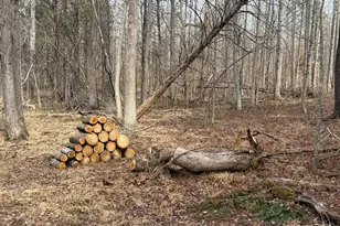 575 Perkins Rd, Kents Store, VA 23084 - Photo 18