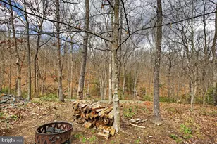 18 Chickasaw Pl, Palmyra, VA 22963 - Photo 52