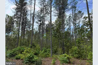 West River Road (Tract: Jr Sadie Flanagan-1), Fork Union, VA 23055 - Photo 10