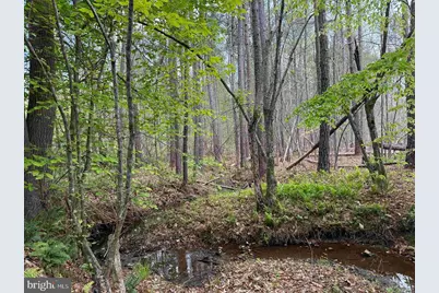 West River Road (Tract: Jr Sadie Flanagan-1), Fork Union, VA 23055 - Photo 12
