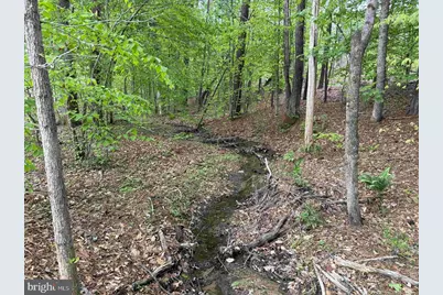 West River Road (Tract: Jr Sadie Flanagan-1), Fork Union, VA 23055 - Photo 8