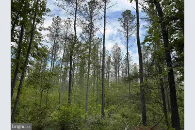 West River Road (Tract: Jr Sadie Flanagan-1), Fork Union, VA 23055 - Photo 2