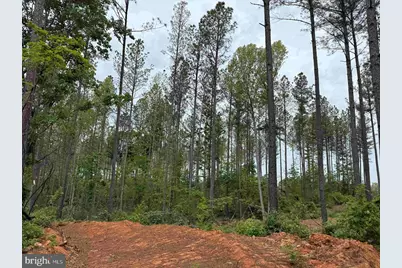 West River Road (Tract: Jr Sadie Flanagan-2), Fork Union, VA 23055 - Photo 2