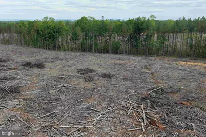 West River Road (Tract: Jr Sadie Flanagan-2), Fork Union, VA 23055 - Photo 6