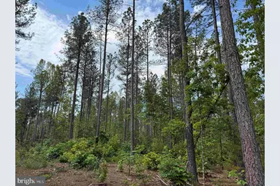 West River Road (Tract: Jr Sadie Flanagan-2), Fork Union, VA 23055 - Photo 8
