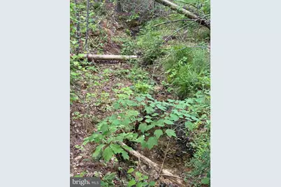 West River Road (Tract: Jr Sadie Flanagan-2), Fork Union, VA 23055 - Photo 12