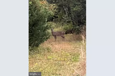 11221 Bristersburg Road, Catlett, VA 20119 - Photo 68