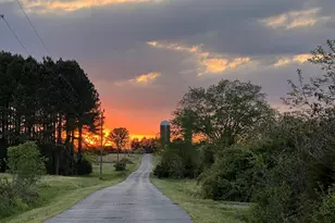 11221 Bristersburg Rd, Catlett, VA 20119 - Photo 14