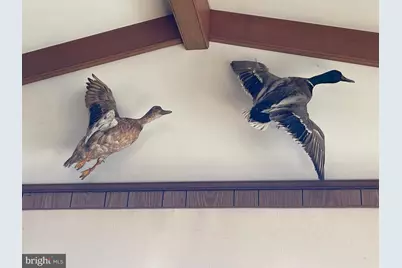 11221 Bristersburg Road, Catlett, VA 20119 - Photo 84