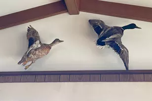 11221 Bristersburg Rd, Catlett, VA 20119 - Photo 84