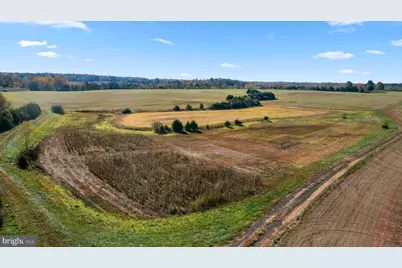 11221 Bristersburg Road, Catlett, VA 20119 - Photo 60