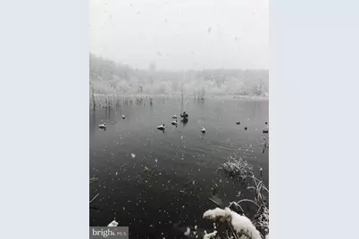 11221 Bristersburg Road, Catlett, VA 20119 - Photo 62