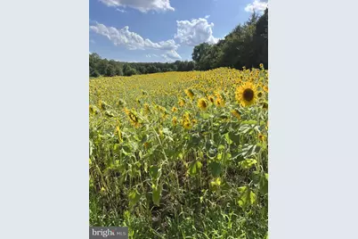 11221 Bristersburg Road, Catlett, VA 20119 - Photo 4