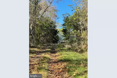 11221 Bristersburg Road, Catlett, VA 20119 - Photo 16