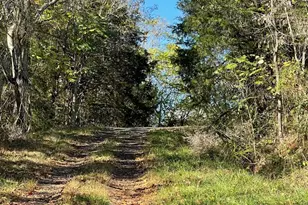 11221 Bristersburg Rd, Catlett, VA 20119 - Photo 16