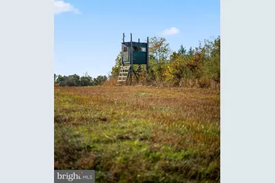 11221 Bristersburg Road, Catlett, VA 20119 - Photo 70