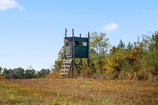 11221 Bristersburg Rd, Catlett, VA 20119 - Photo 70