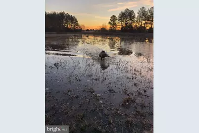 11221 Bristersburg Road, Catlett, VA 20119 - Photo 64