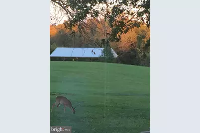 11221 Bristersburg Road, Catlett, VA 20119 - Photo 20