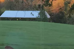 11221 Bristersburg Rd, Catlett, VA 20119 - Photo 20