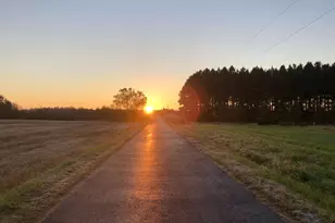 11221 Bristersburg Rd, Catlett, VA 20119 - Photo 108