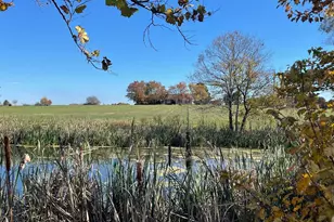 11221 Bristersburg Rd, Catlett, VA 20119 - Photo 74