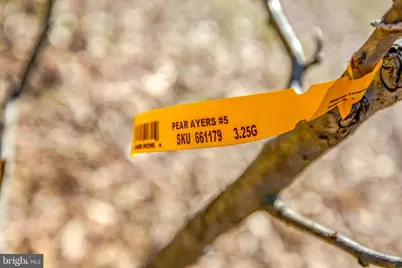 8016 Shipmadilly Lane, Warrenton, VA 20186 - Photo 36