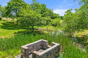 9425 Blackpond Ln, Delaplane, VA 20144 - Photo 94