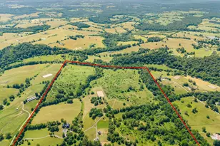 9425 Blackpond Ln, Delaplane, VA 20144 - Photo 98